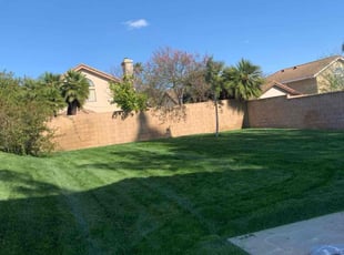 Susan D.'s Lawn Maintenance service result