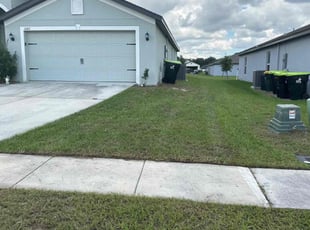 Carol Z.'s Lawn Service service result