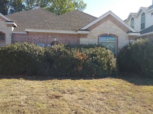 Bush Trimming by Israel Contreras for Peter L. in Fort Worth, TX