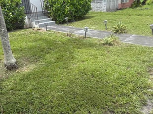 Robert Y.'s Cleanups service result