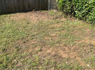 Cleanups by Manuel Gonzalez for Marion B. in Joshua, TX