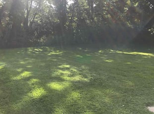 Randy D.'s Lawn Mowing service result