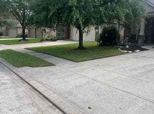 Victor R.'s Lawn Service service result