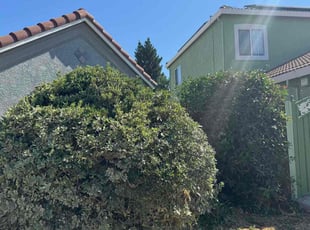 James M.'s Bush Trimming service result