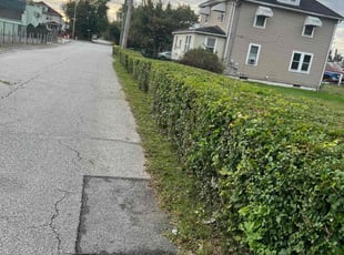 Bush Trimming by Dimas Lopez for Kim P. in Baltimore, MD