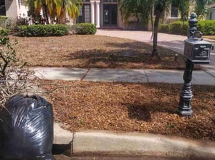 Leaf Removal by Carl Ridle for Rahamat A. in Windermere, FL