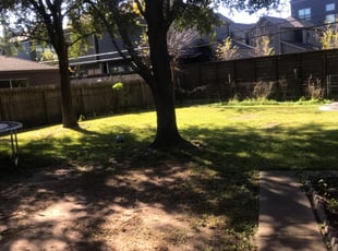 Leaf Removal by Jerry Clayton for John S. in Houston, TX