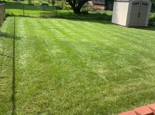 Nancy D.'s Lawn Maintenance service result