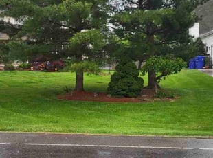 Jen F.'s Grass Cutting service result