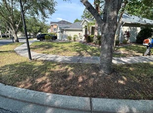 Leaf Removal by Feliciano Perez for Brandon V. in Tampa, FL