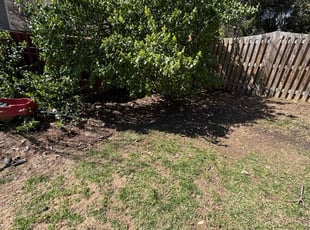 Cleanups by Edwin Villagran for A J. in Silver Spring, MD