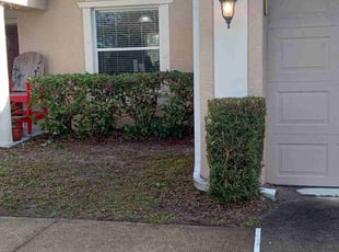 Bush Trimming by Alberto Torres for Marilee M. in Palm Coast, FL