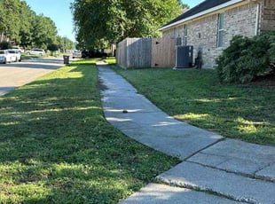Desiree S.'s Lawn Mowing service result