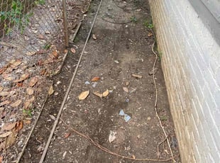Cleanups by Reginald Jones for Calla A. in Petersburg, VA