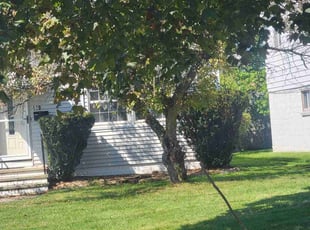Bush Trimming by Tyler Stewart for Karla W. in Bedford, OH