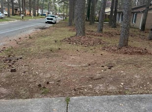 Leaf Removal by Jecory Garrett for Karen W. in Huntsville, AL