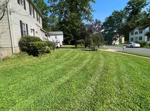 Bush Trimming by Alesandre Mejita Duarte for Brian J. in Chantilly, VA
