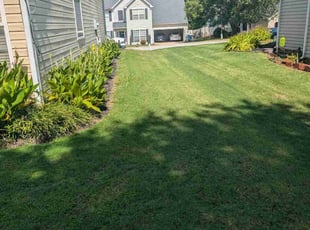 Jennifer J.'s Lawn Mowing service result