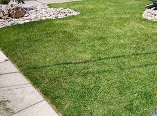 Connor W.'s Lawn Mowing service result