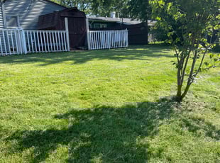 Heidi W.'s Lawn Care service result