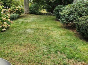 Kevin R.'s Lawn Service service result