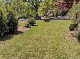 Leaf Removal by Kendric Williams for Nate W. in Holly Springs, NC