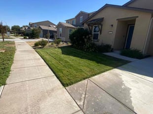 Katrina B.'s Lawn Service service result