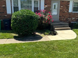 Bush Trimming by Norman Blanchard for Yvette S. in District Heights, MD