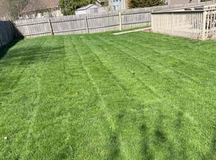 Emily H.'s Lawn Maintenance service result