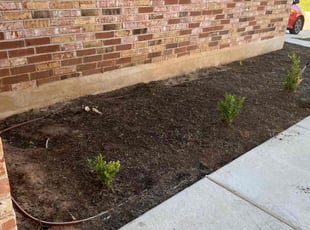 Weeding by Samuel Rueda for Narshala P. in Austin, TX
