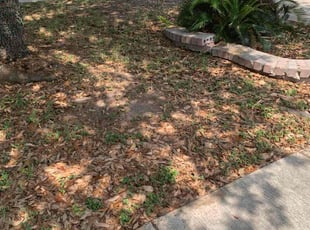 Weeding by Andrew Garza for Jahmain A. in San Antonio, TX