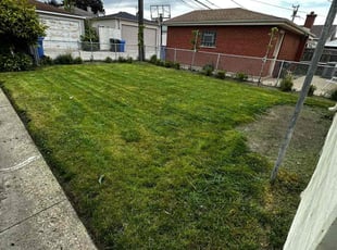 Cleanups by Felix Alejos for Kim D. in Harwood Heights, IL