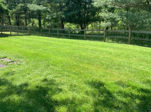 Cleanups by Scott Source for Jana A. in Owings Mills, MD