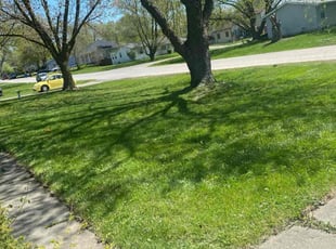 John H.'s Lawn Mowing Service service result
