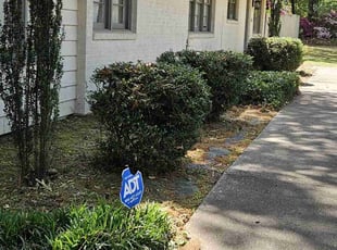 Bush Trimming by Andrew Clark for Donna J. in Fayetteville, NC
