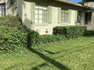 Bush Trimming by Aderias Rollins for Alex G. in Jacksonville, FL