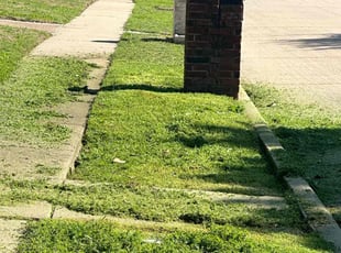 Cleanups by Patrick Stewart for James A. in Frisco, TX