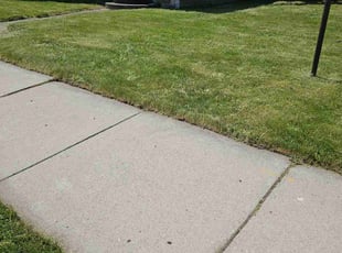 Klint T.'s Grass Cutting service result