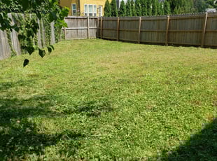 Cleanups by Jon Buchanan for Faith H. in Nashville, TN