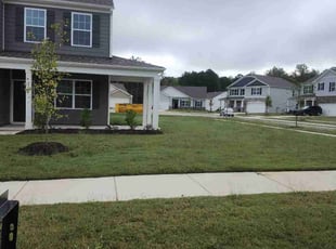 Vamsikrishna K.'s Lawn Mowing service result