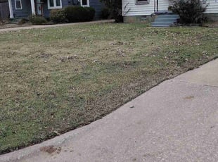 Cleanups by Dillon Hickey for Melyssa H. in Oklahoma City, OK