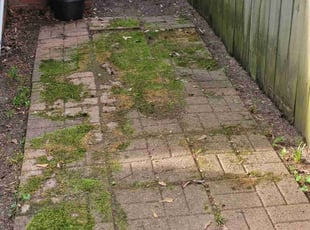 Leaf Removal by Gregory Childress for John L. in Memphis, TN