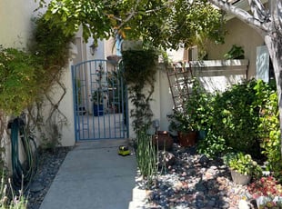 Bush Trimming by Earl Miller for Jeremy Y. in San Diego, CA