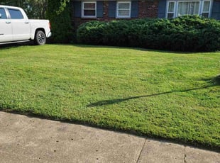 Sharon S.'s Lawn Mowing service result