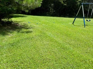 Jay Y.'s Lawn Mowing service result