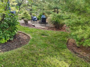 Prakash B.'s Lawn Service service result