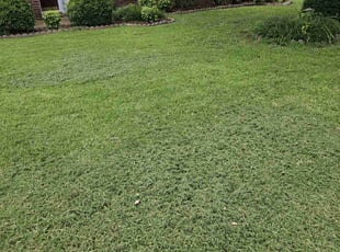 Logan B.'s Lawn Service service result