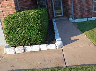 Bush Trimming by Jan ortiz for Dawn M. in Oklahoma City, OK
