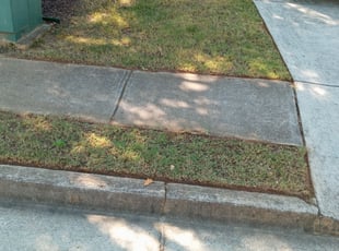 Leaf Removal by Patrick Thompson for Mina S. in Cumming, GA