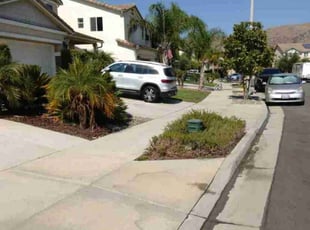 Sandra L.'s Lawn Mowing service result